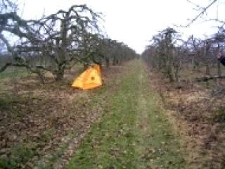 Bild_064